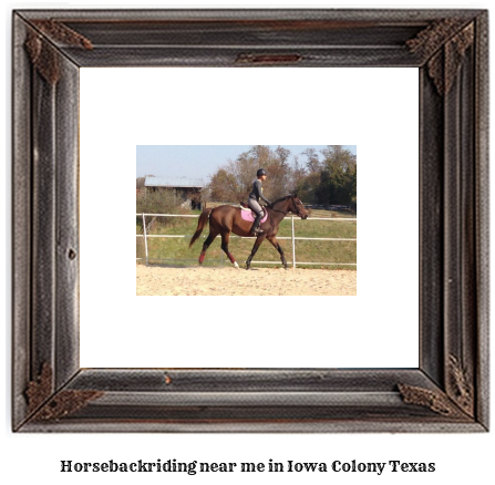 horseback riding near me in Iowa Colony, Texas